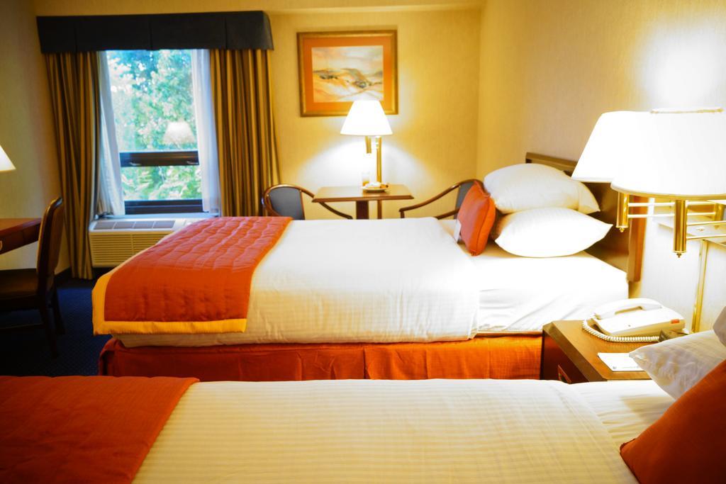 Wyndham Garden Monterrey Norte San Nicolás de los Garzas Εξωτερικό φωτογραφία